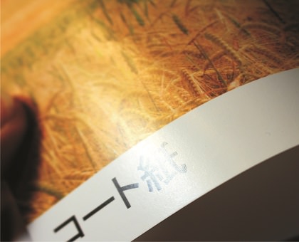 sample2
