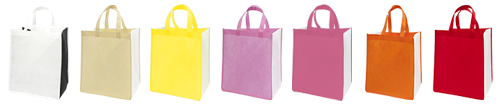 2color_bag-1.png