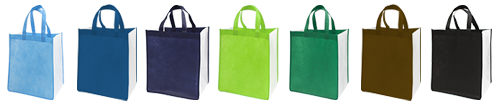 2color_bag-2.png