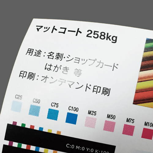 マットコート258kg （85ｘ49）