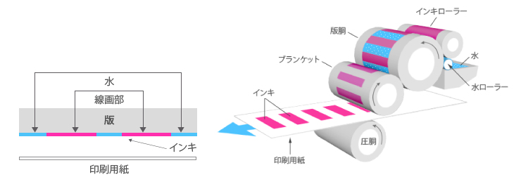 オフセット印刷