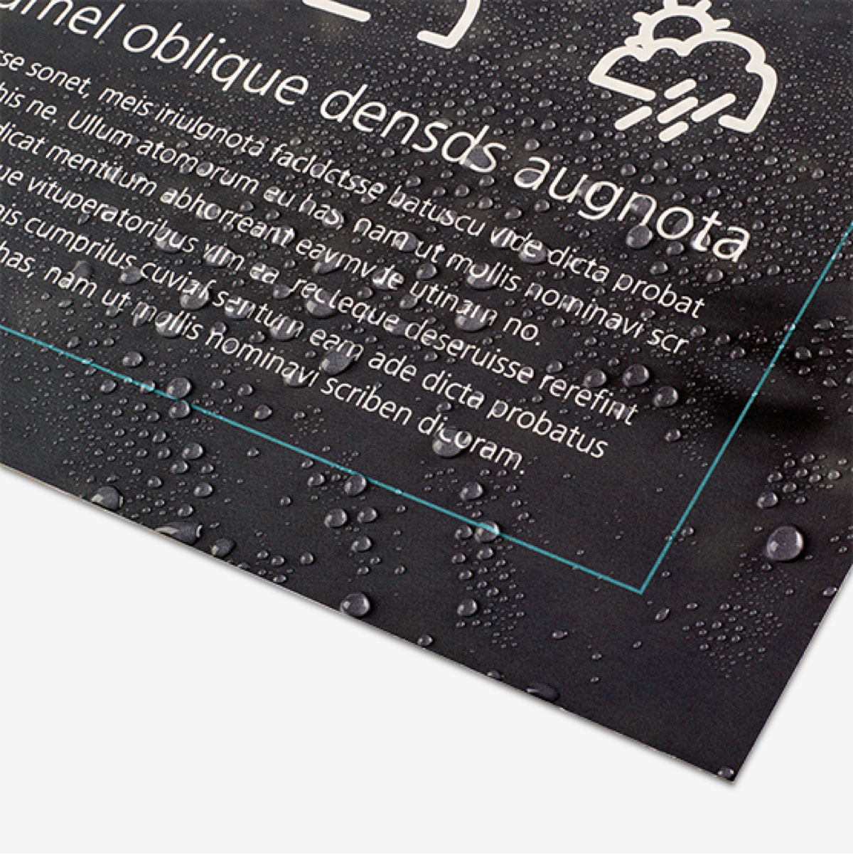 leaflet01