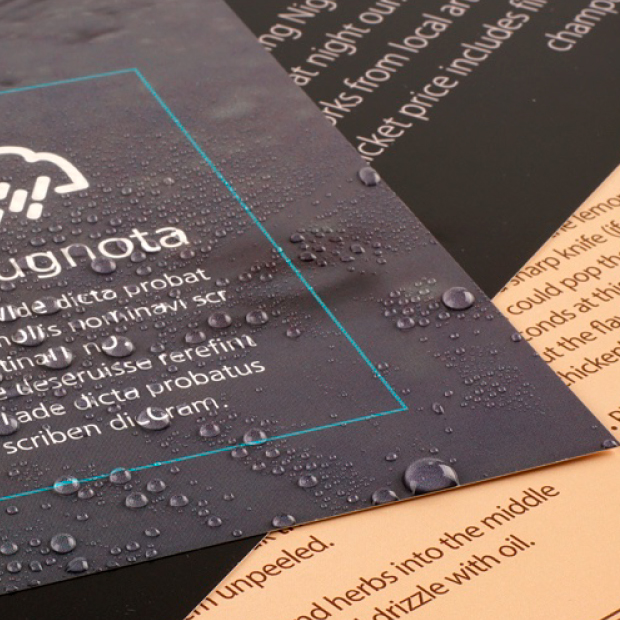 leaflet02